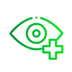 Vision icon